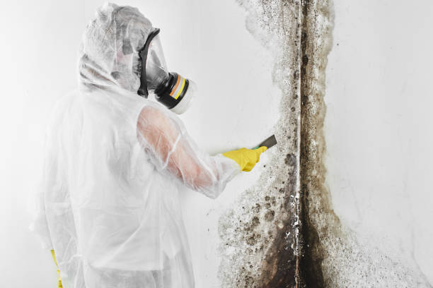 Best Mold Documentation for Insurance Claims  in Mitchell, SD